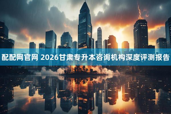 配配网官网 2026甘肃专升本咨询机构深度评测报告
